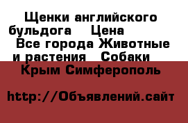 Щенки английского бульдога  › Цена ­ 60 000 - Все города Животные и растения » Собаки   . Крым,Симферополь